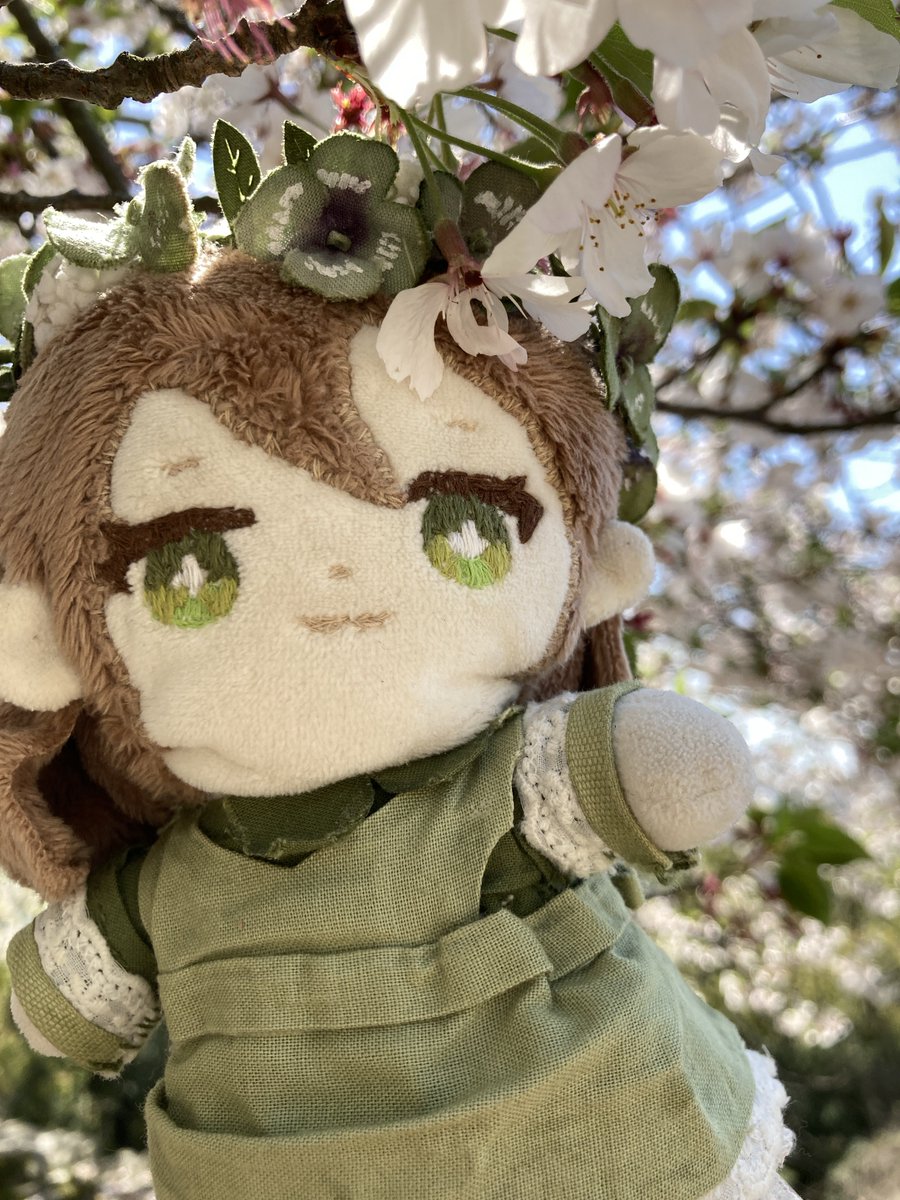 くまのななみ🧸☘️出没注意系Vtuber tweet media