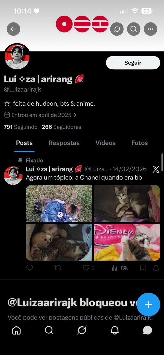 luiza lucena tweet media