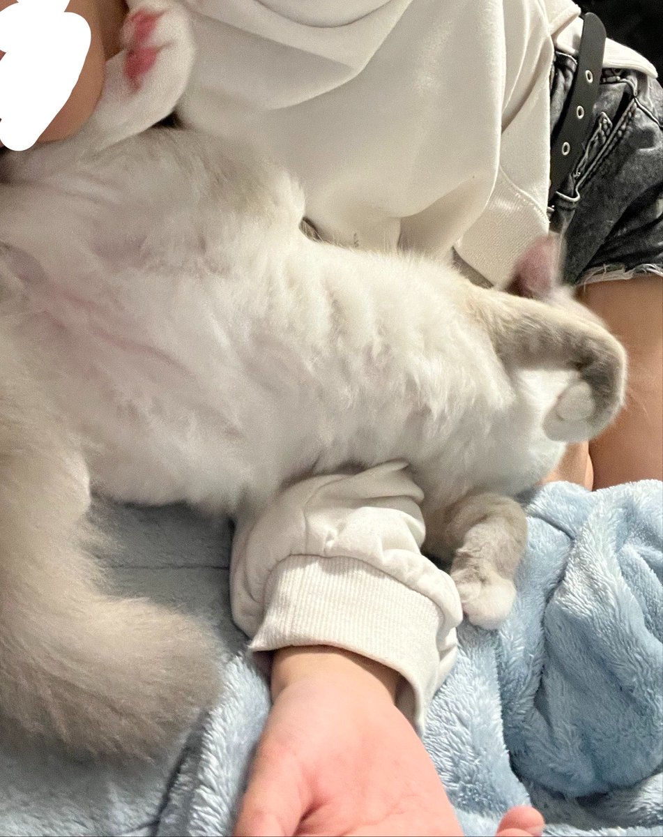 ゆたち😷 tweet media