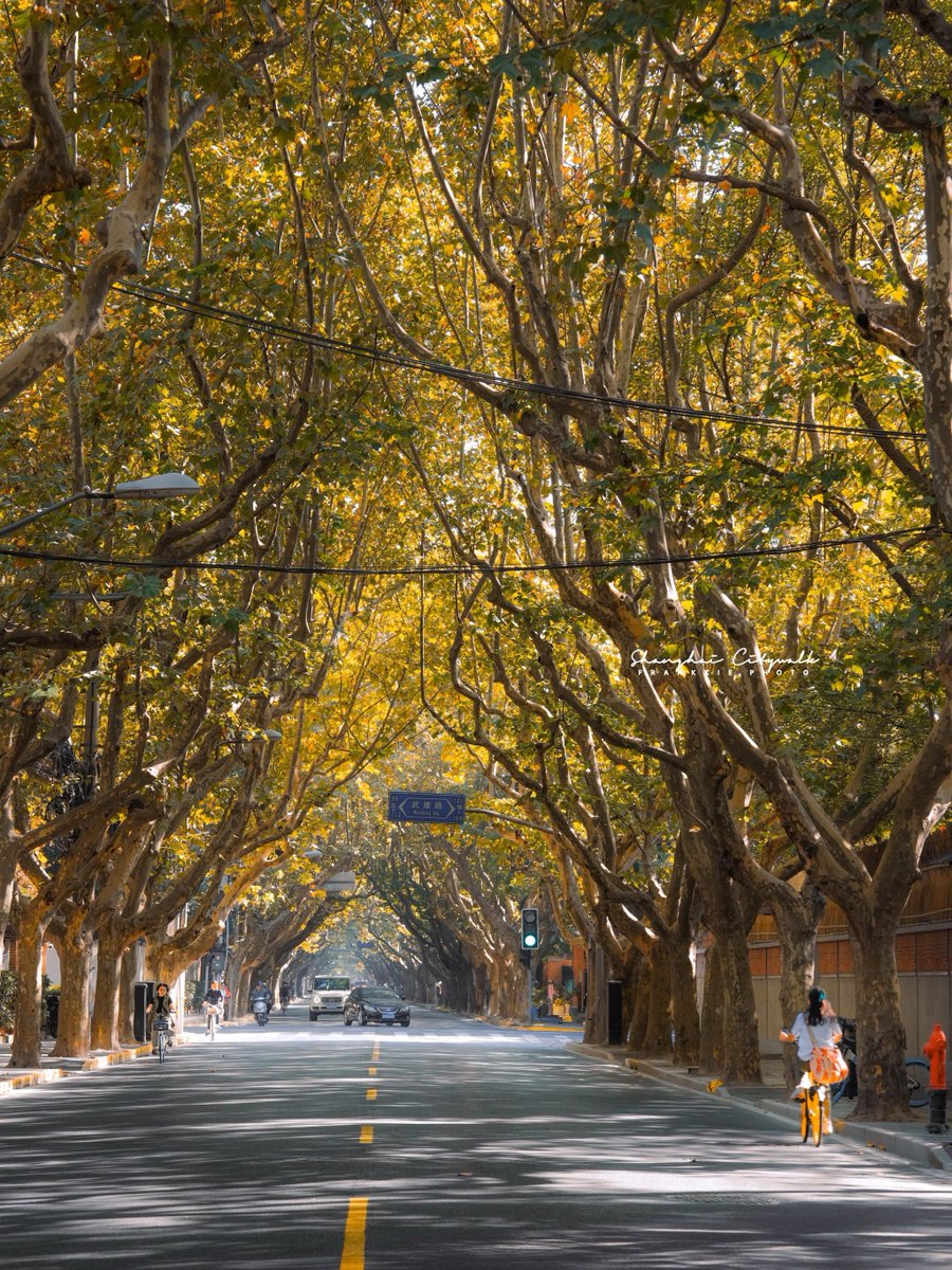 Myranda zambrano tweet media