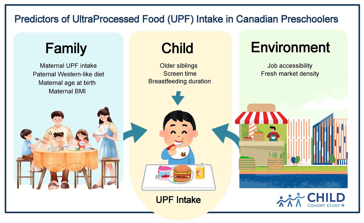 CHILDSTUDY's tweet photo. What external factors might lead one child to eat more ultraprocessed foods 🍔🧃than another? According to CHILD research, characteristics of a child’s family👨‍👩‍👧‍👦&amp; built environment 🏪 can play a role.
@Nature @KozetaMiliku #UofT #Nutrition
Read more: https://t.co/F11yGfmH6d https://t.co/evXZTVpGba