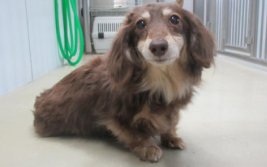 くるみmama tweet media