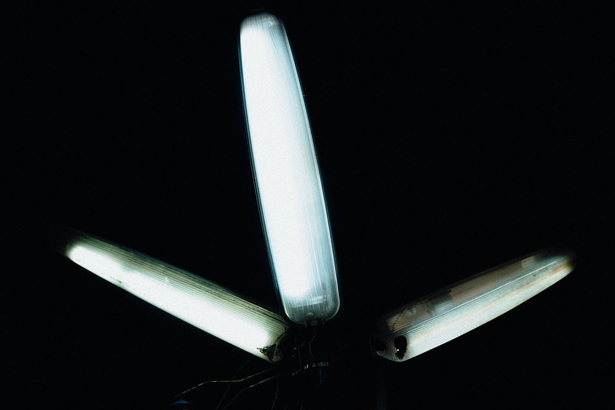 🐰櫻井　まち🌸 tweet media