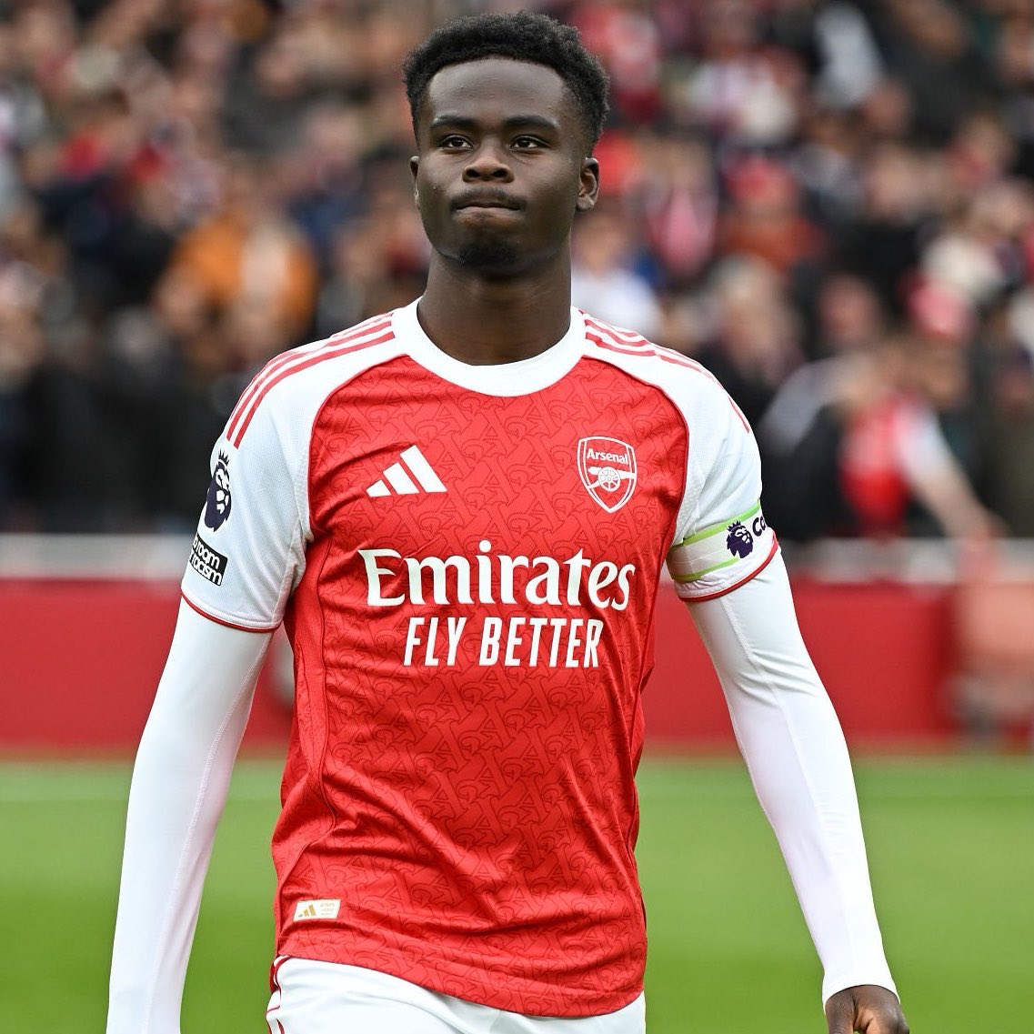 DailyAFC tweet media