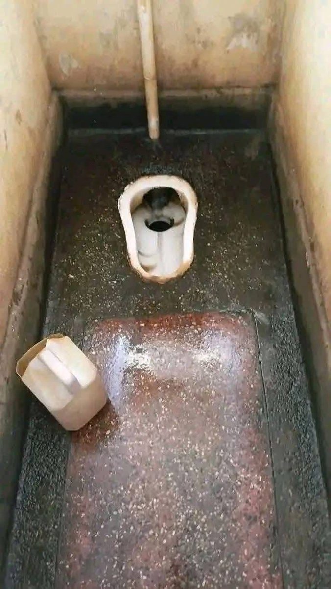 Mary Njoroge tweet media