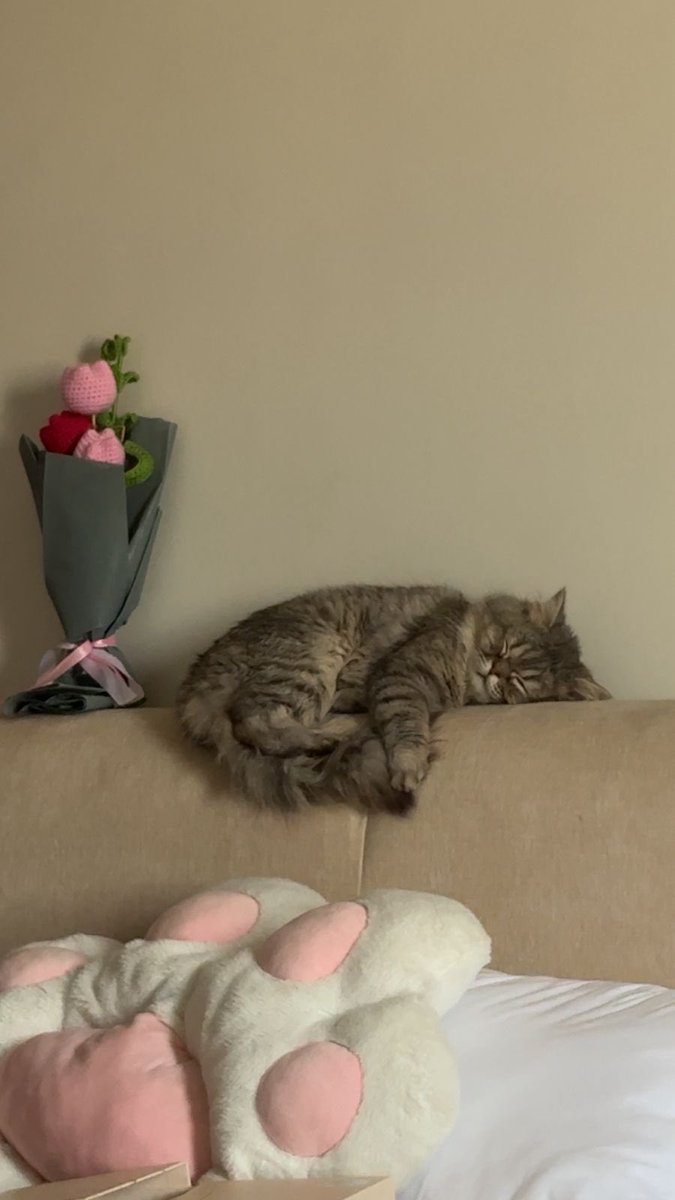 هيلة الروقي (قلب الرحمة) tweet media