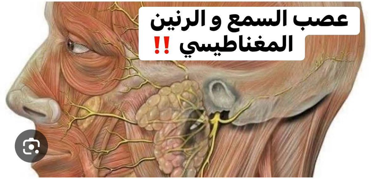 6True6's tweet photo. 🔴🔴 هل الرنين المغناطيسي بيكشف مشاكل الأعصاب فعلاً؟

👂✨ السؤال ده بيتكرر كتير… والإجابة ببساطة:
آه… بس مش كل حاجة!

🧠📸 الرنين المغناطيسي (MRI)
بيوضح شكل الأعصاب الكبيرة خارجيا فقط زي العصب السمعي

☑️☑️وبيكشف لو فيه:
🔹 ضغط على العصب
🔹 ورم
🔹 التهاب

يتبع 
#نجران_الآن https://t.co/iPvYHwvzeA