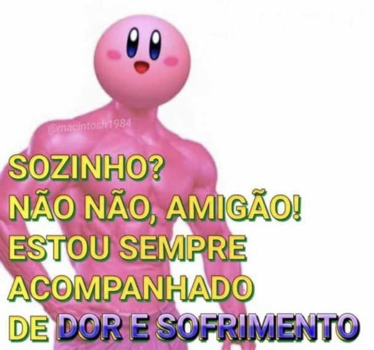 perfil dedicado a gatinhos e peitos tweet media