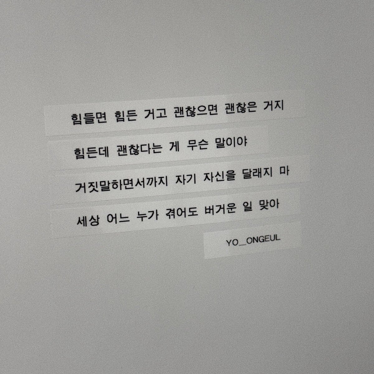 윤글 tweet media
