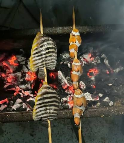 嵐寶雲❤變態人妻Vtuber❤ 孕婦ing tweet media