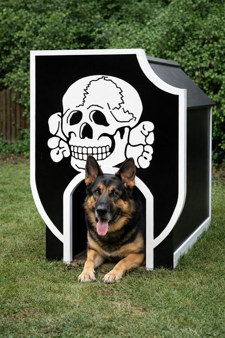 🐾 Wake up babe. New doghouse just dropped.