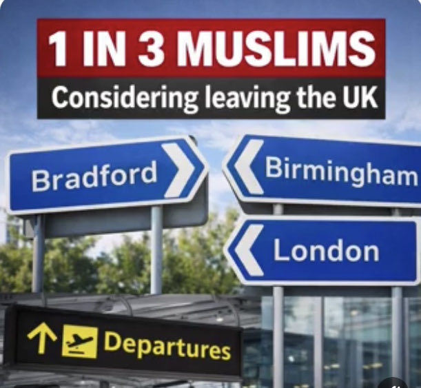 aileen B 🇬🇧🏴󠁧󠁢󠁥󠁮󠁧󠁿 tweet media