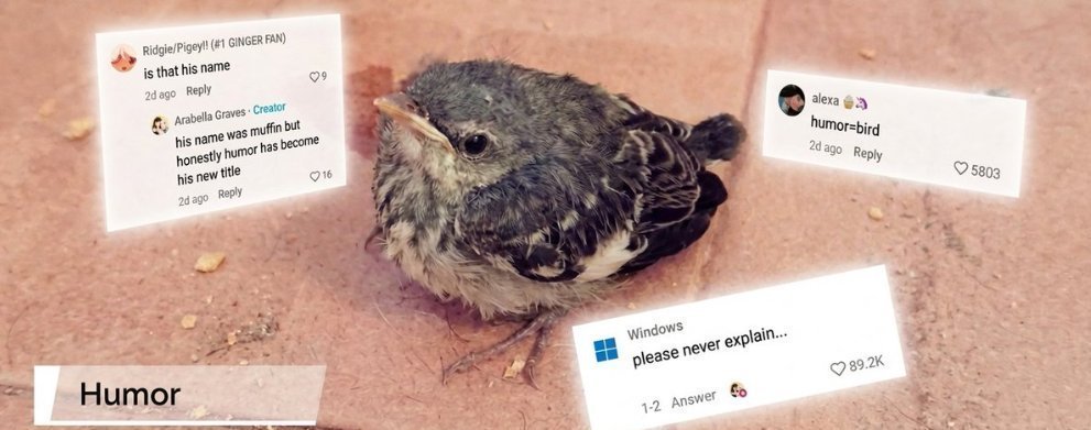 George tweet media