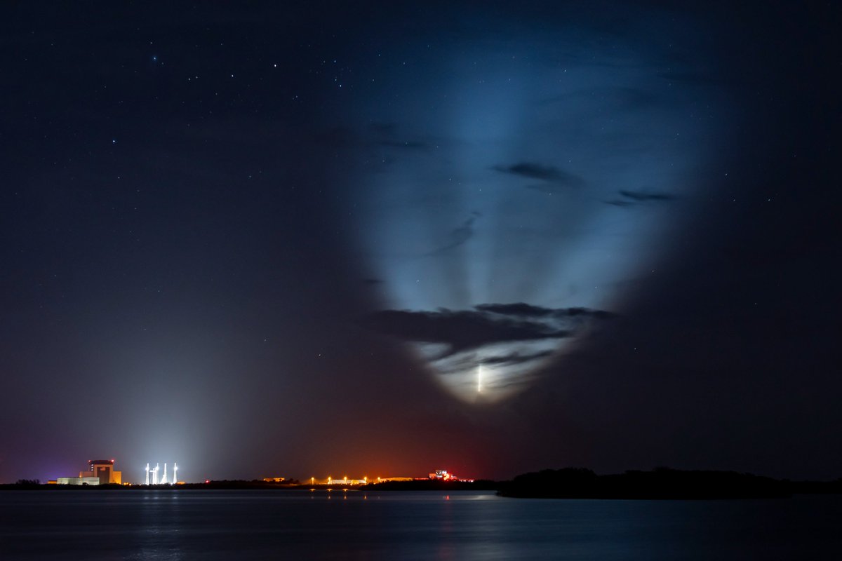 X Freeze tweet media