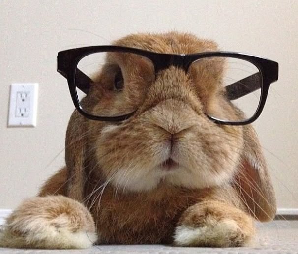 운끼아카이브 tweet media