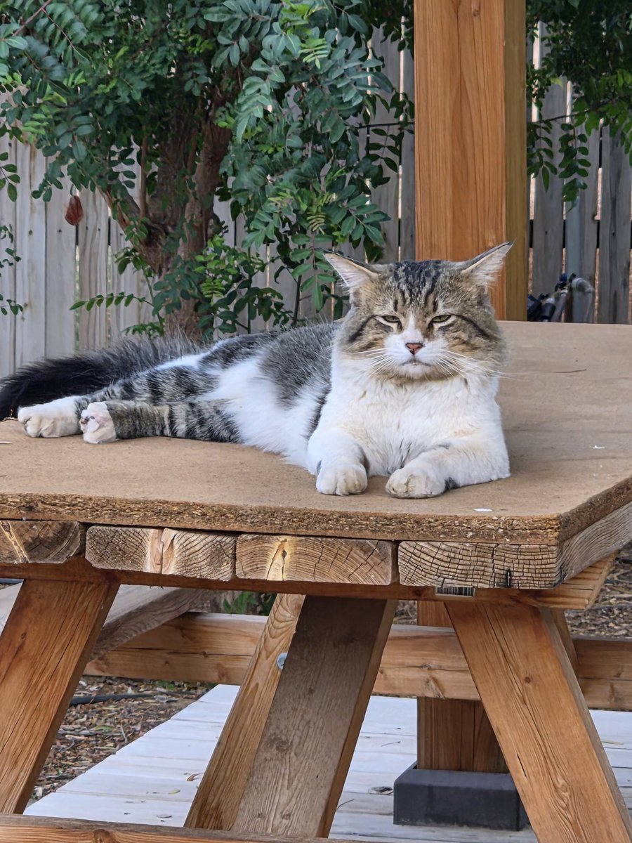 Brad's Pit tweet media