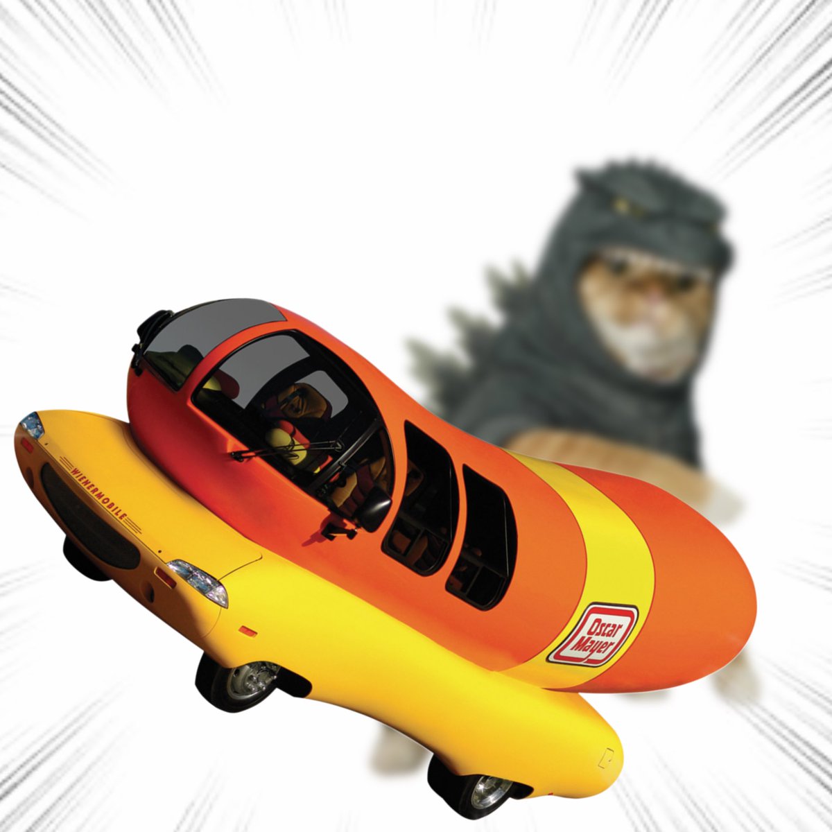 Throwing Things Daily tweet media