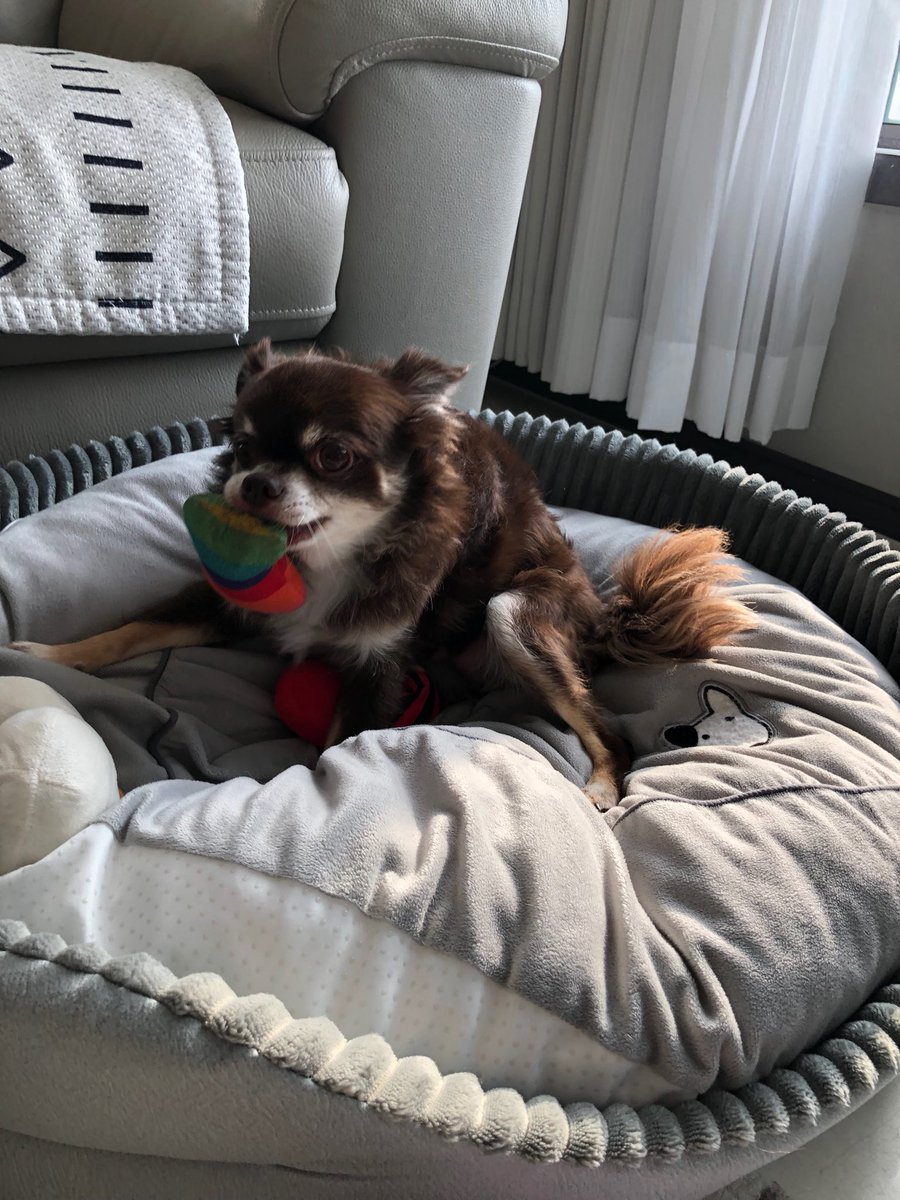 건호, 안. tweet media