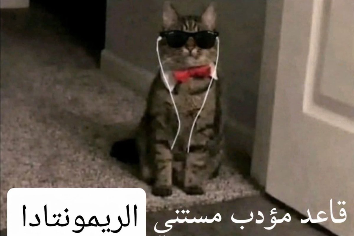 OAS_X3's tweet photo. #ريمونتادا https://t.co/g9dhqcAiup