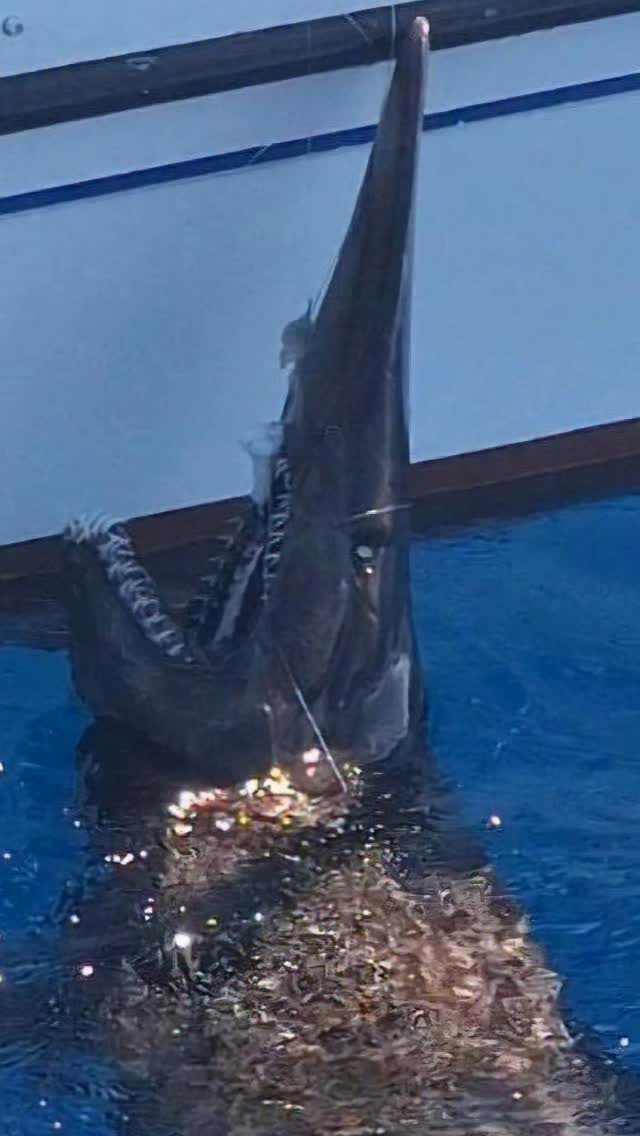 silver and gold tweet media