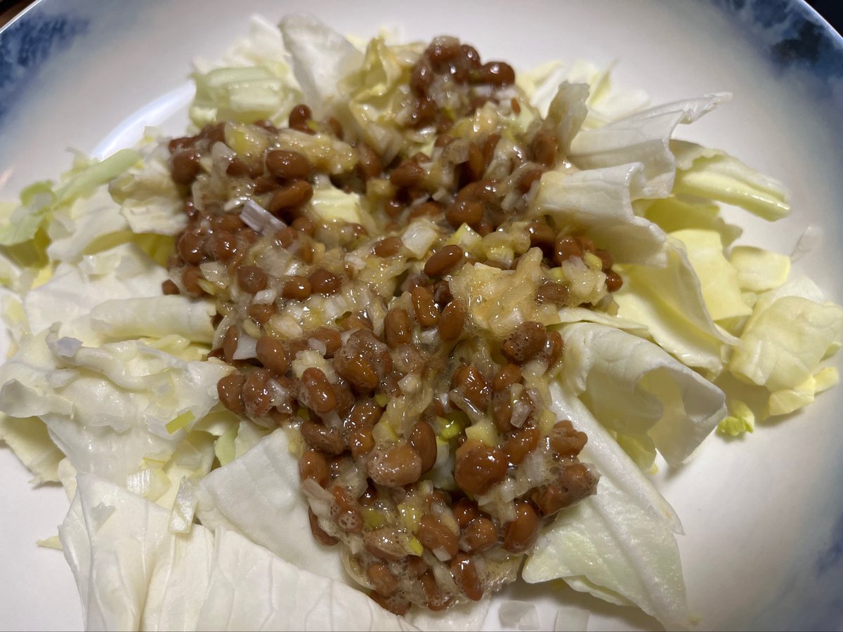 ただの衝動なのでオタポスは割とすぐ消します😹
ネギたっぷり納豆キャベツ🥬うま