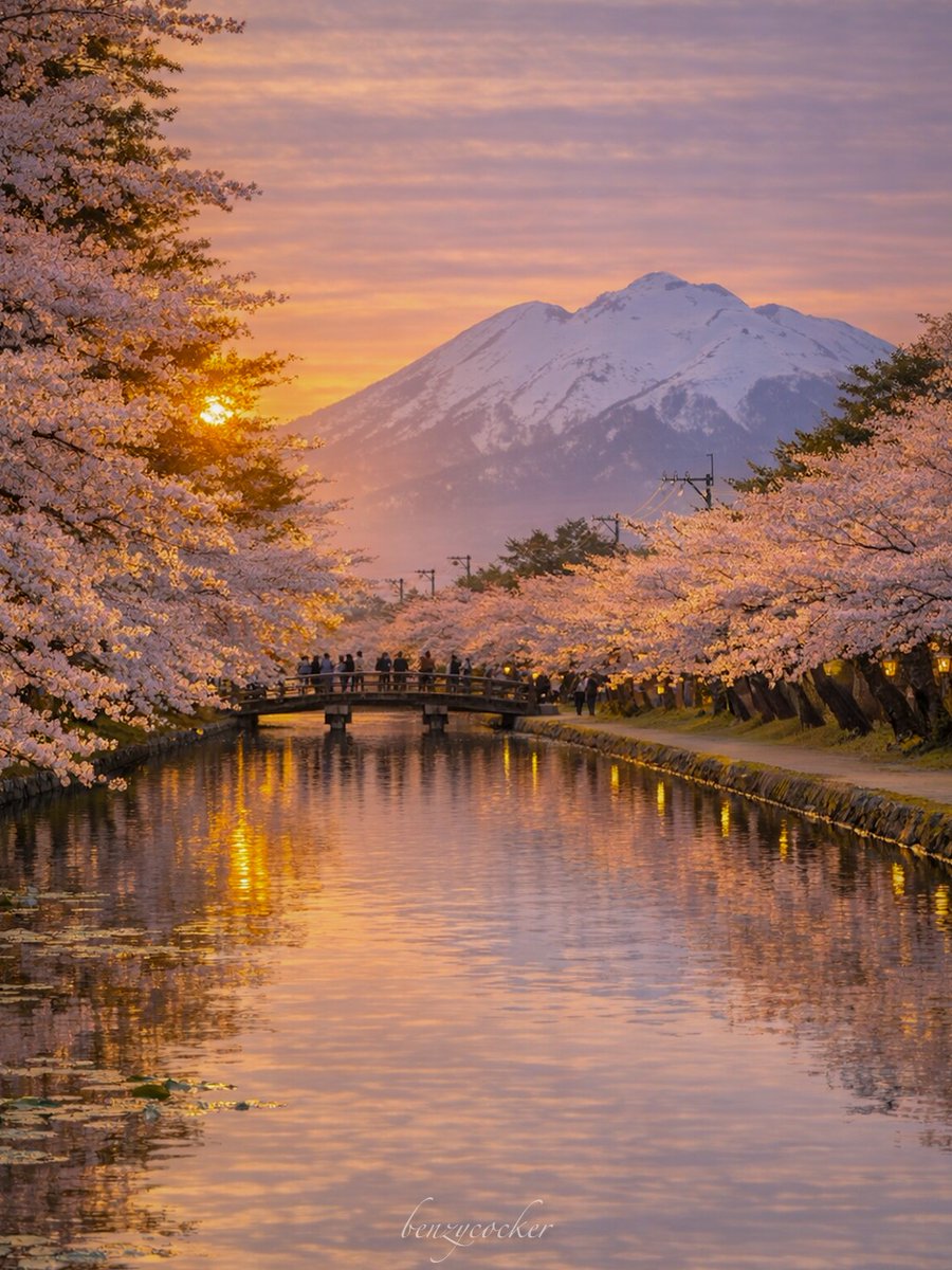 ベンジー tweet media