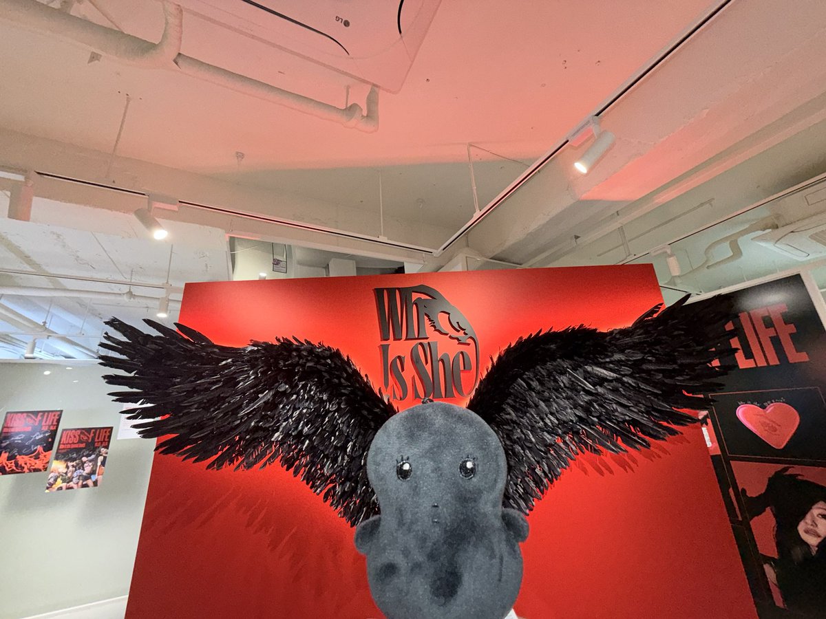 체인(상태: Who is she?) tweet media