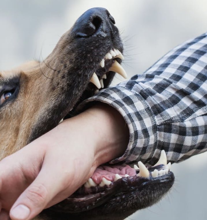 Mark Anthony Reid tweet media