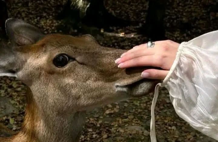 ہر تکلیف اذیت نہیں ہوتی، کچھ تکالیف ایسی بھی ہوتی ہیں جو ہمیں صابر بناتی ہیں اور صبر کرنے والے اللّٰہ کے پسندیدہ ہوتے ہیں.