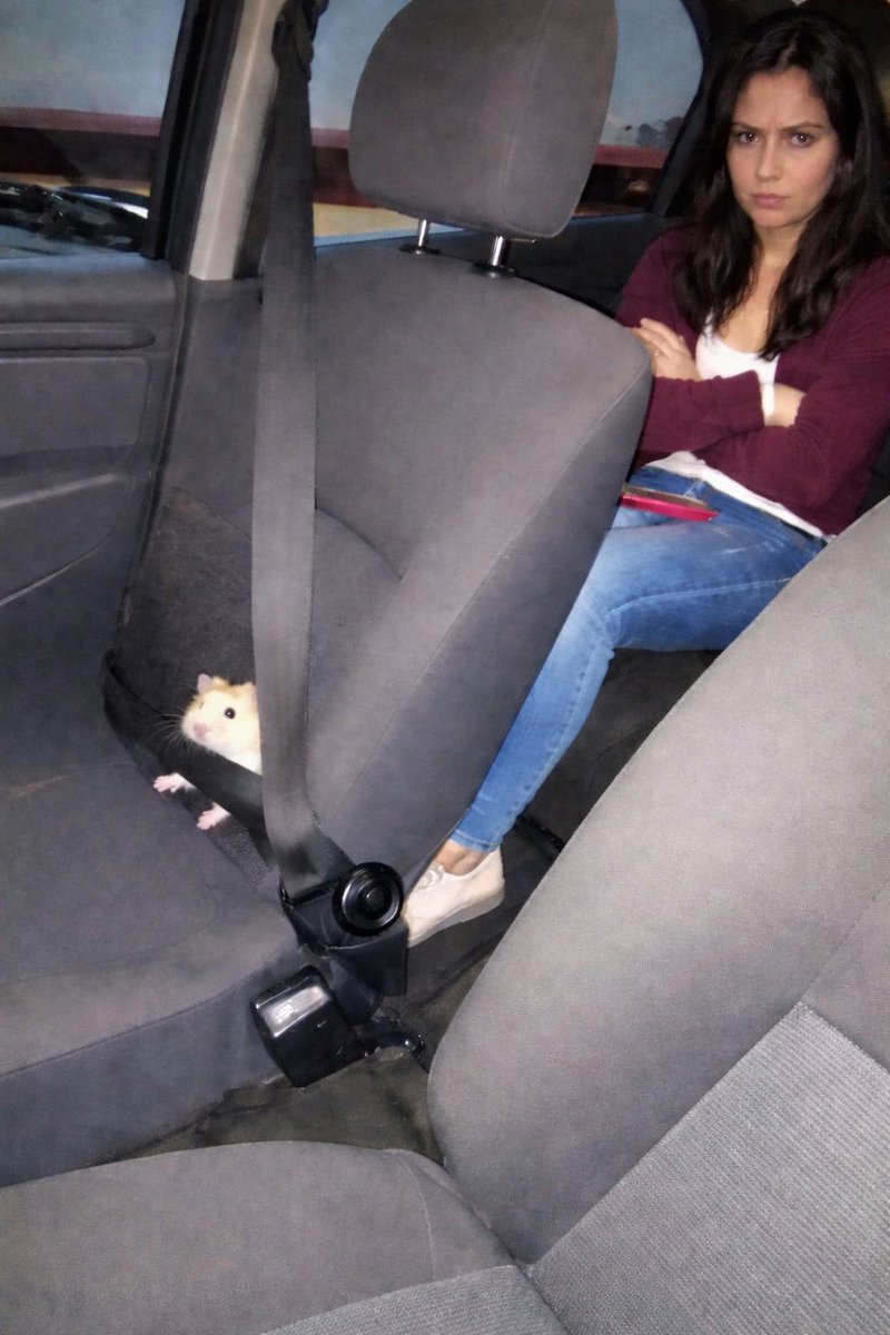 Tweets Of Hamster tweet media