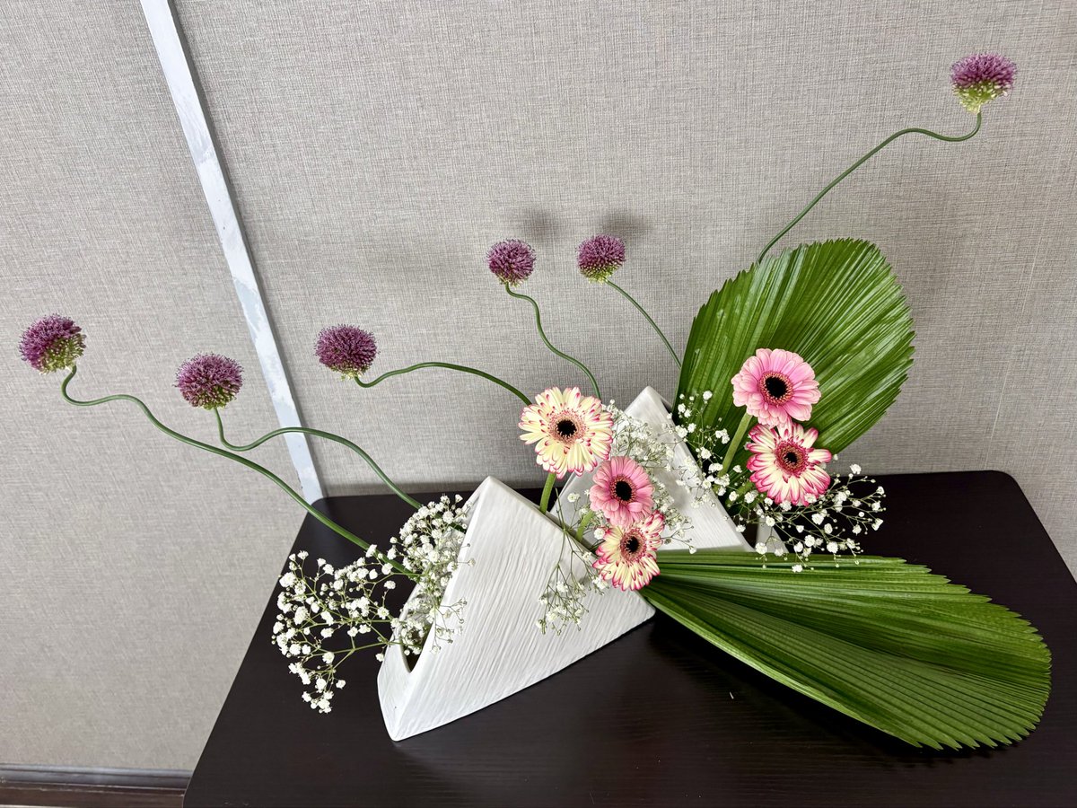 ボルサリーノ花 tweet media