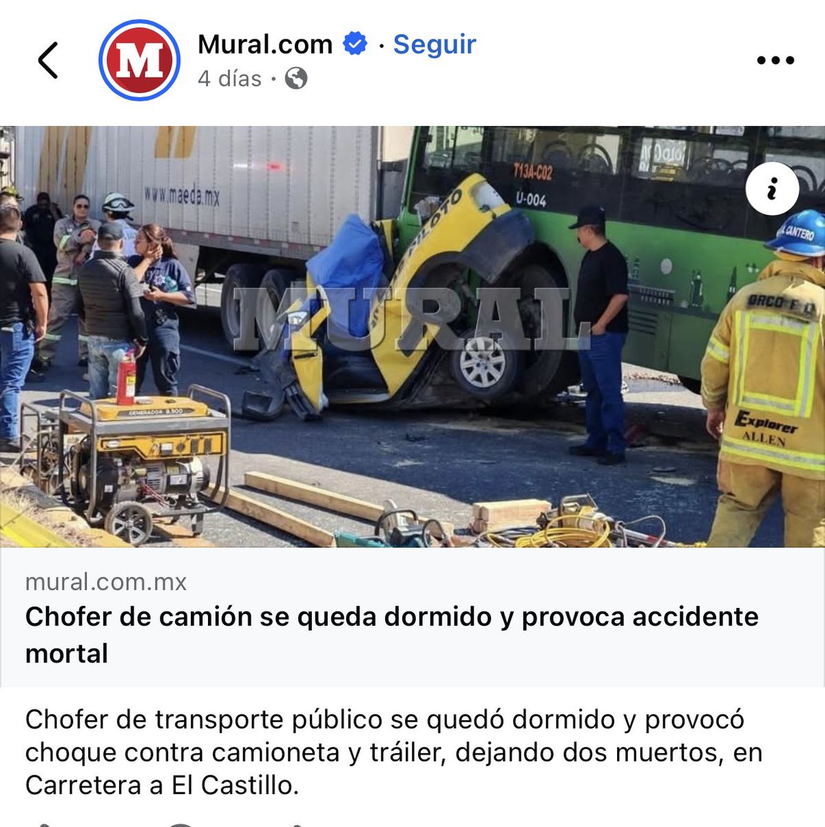 MEXICAN BEHAVIOR tweet media