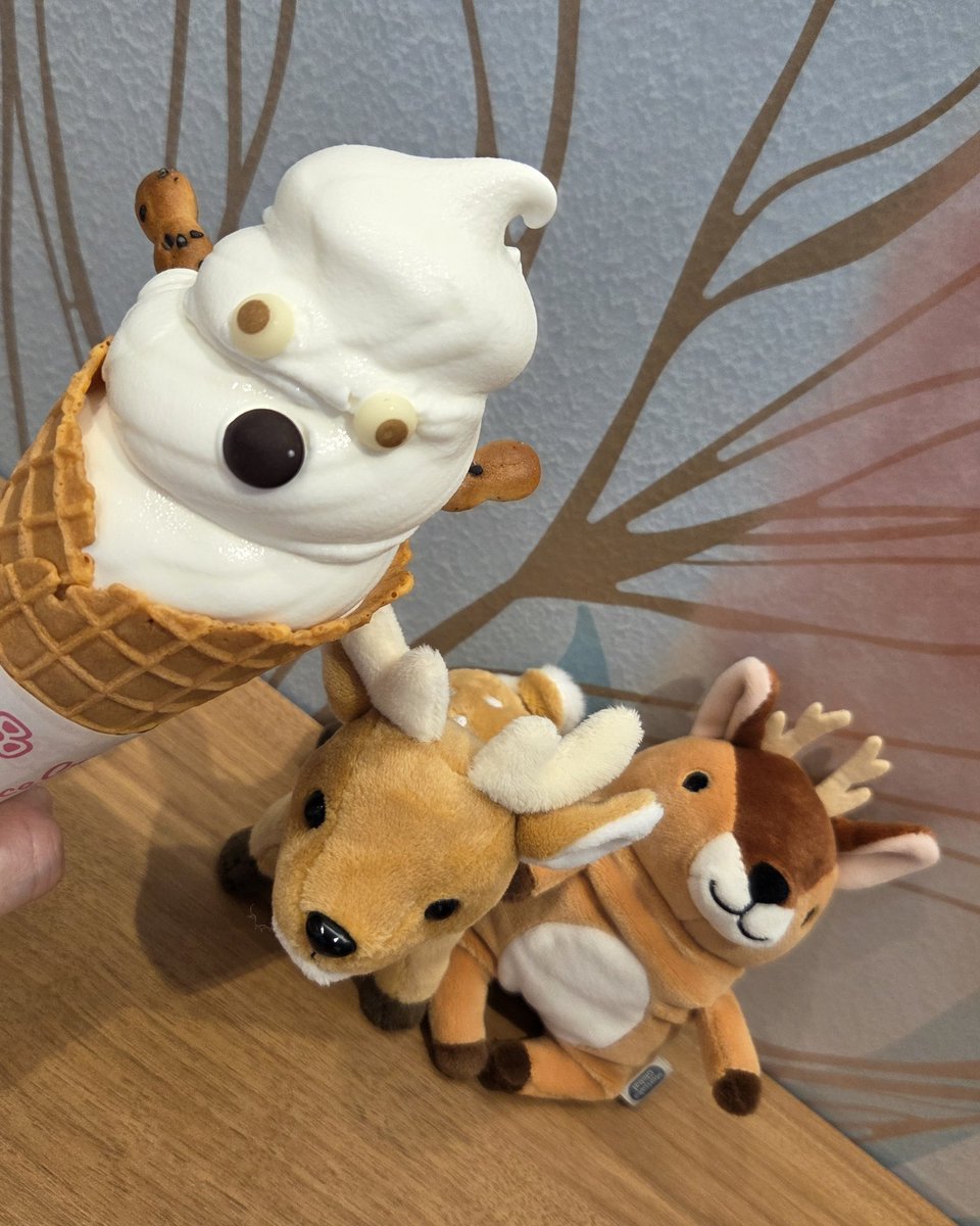 らこ🐱 tweet media