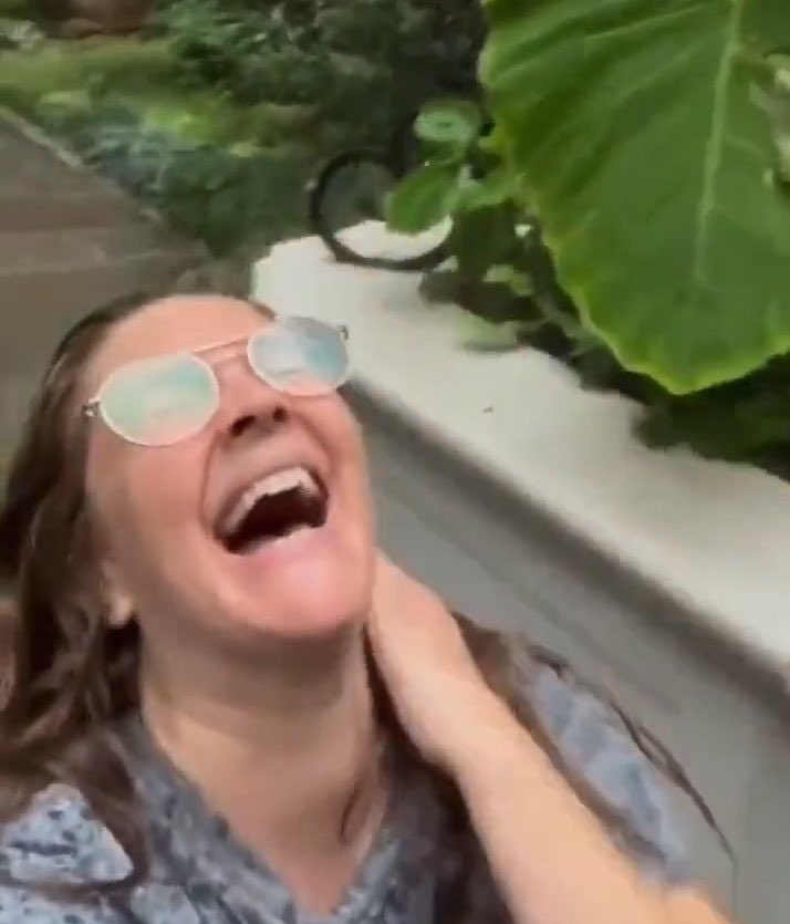 chica bento tweet media