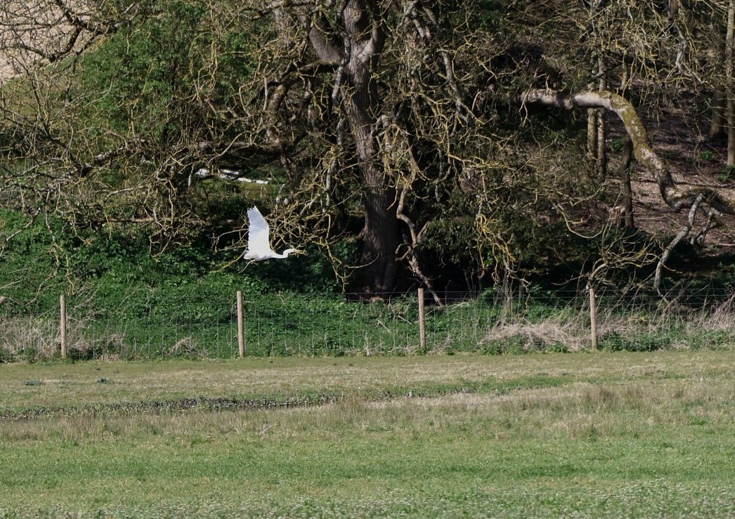 Helen Ibbott 💙📸📖 tweet media