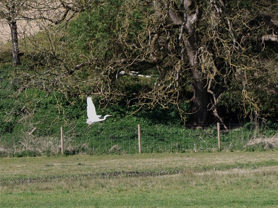 Helen Ibbott 💙📸📖 tweet media