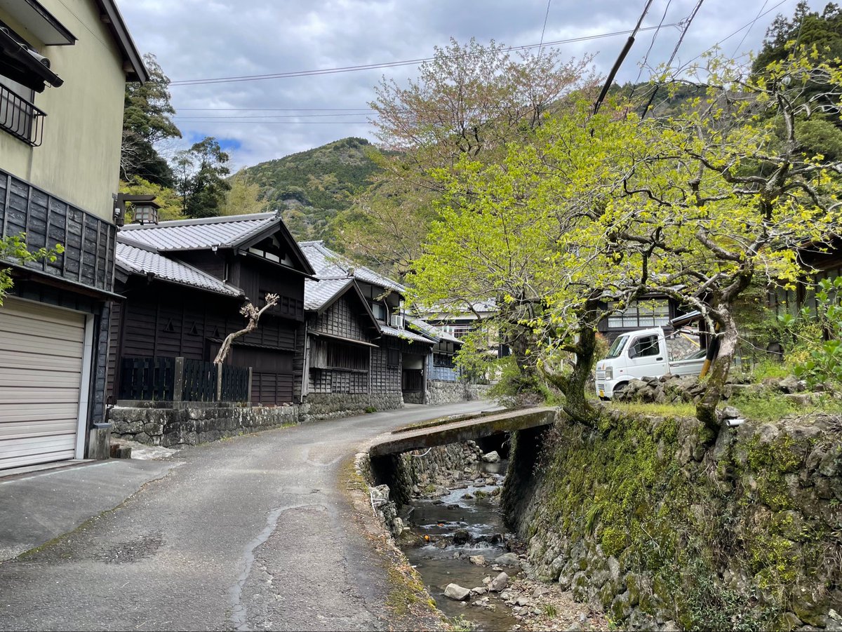 forestbk tweet media