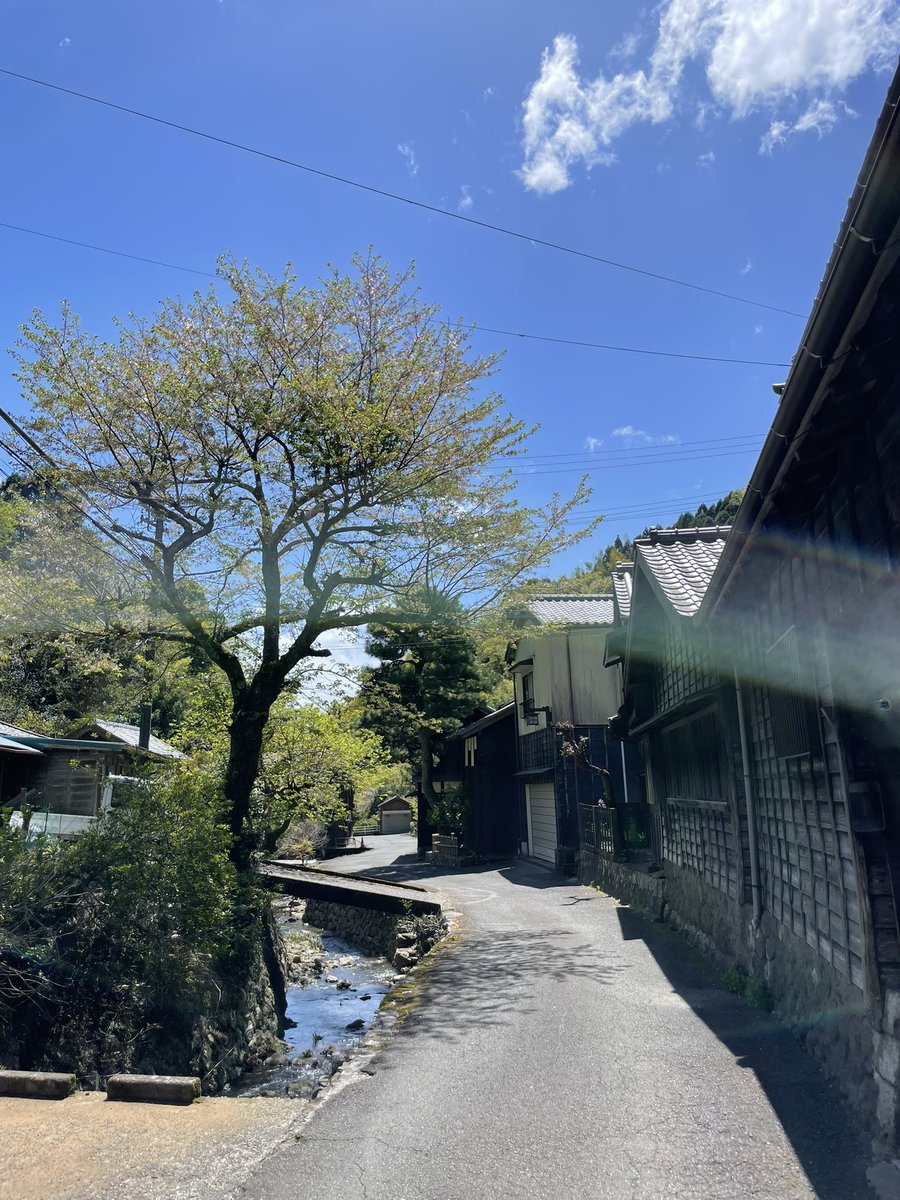 forestbk tweet media