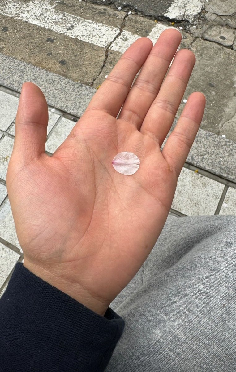 제솸의물결🌊 tweet media