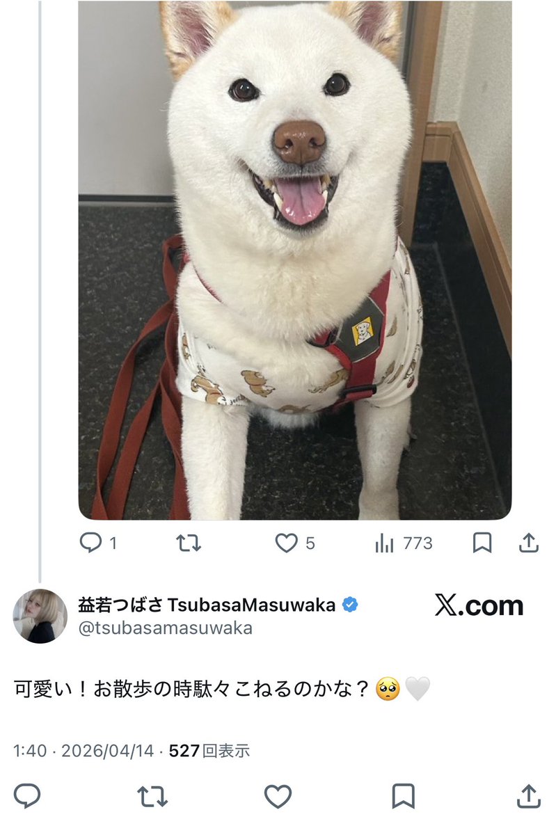 𝕪𝕦𝕦 tweet media