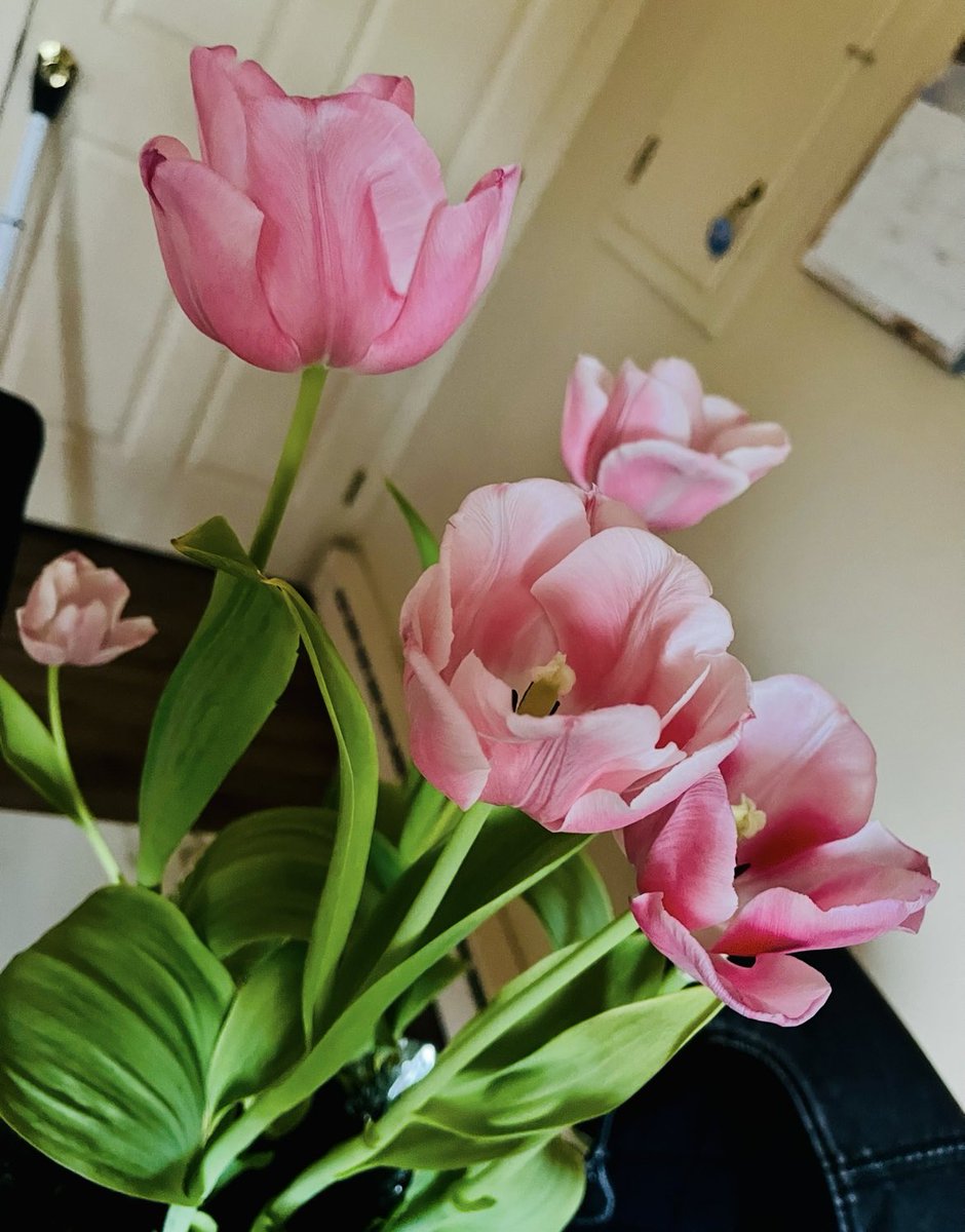 98.5 KRZ tweet media