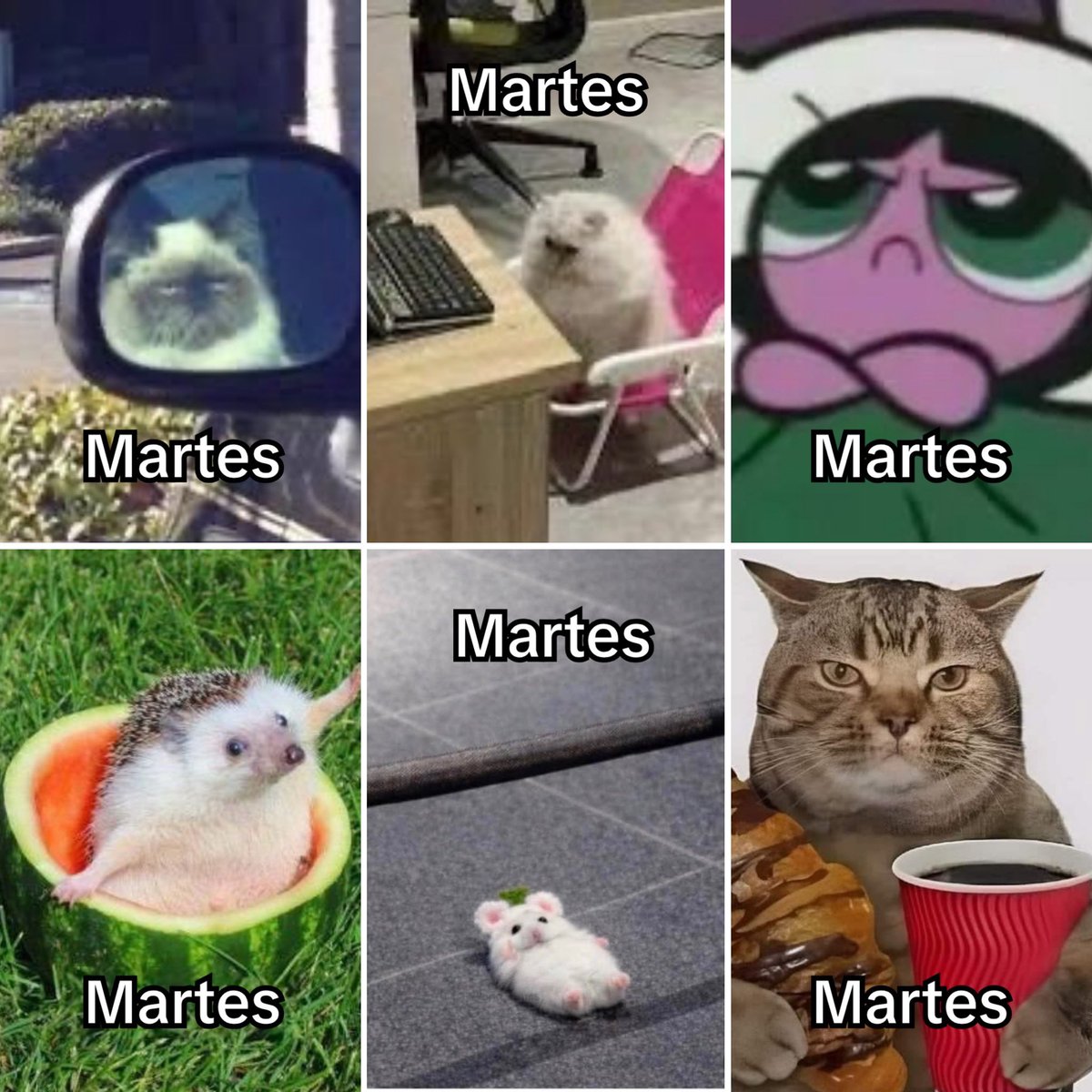 El Guarromántico tweet media