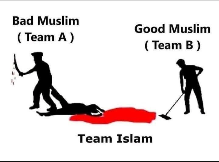 Panthera tweet media