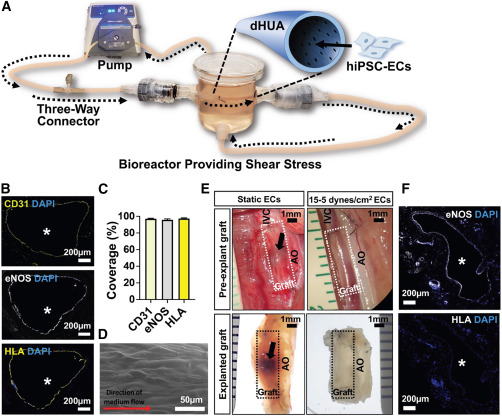 Cell Stem Cell tweet media