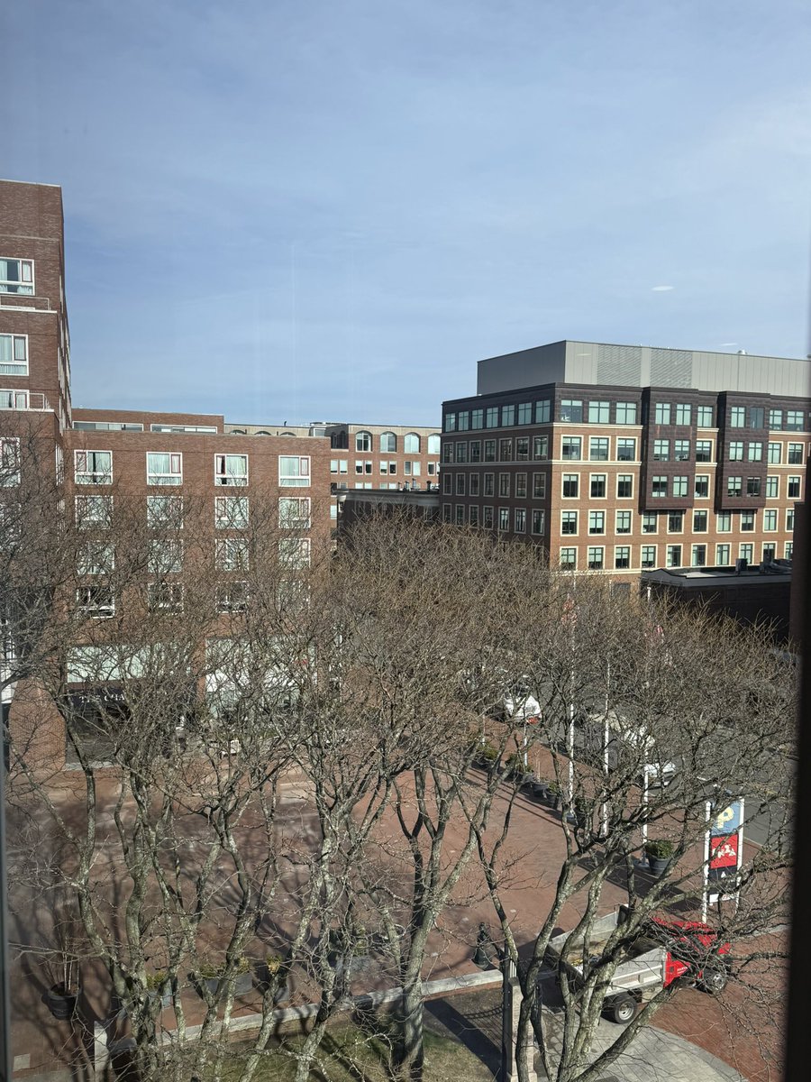 Cristian Zamora M tweet media