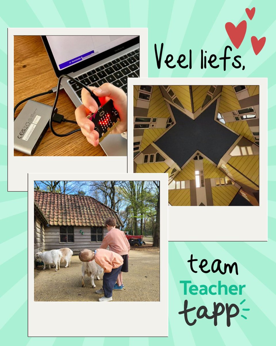 Teacher Tapp Vlaanderen tweet media