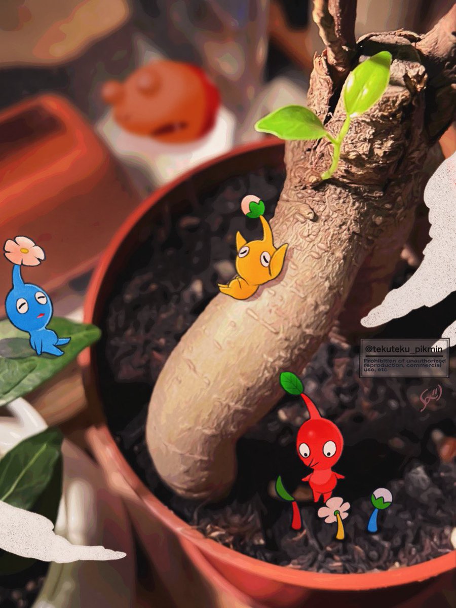 🌱

#ピクミン #ピクミンブルーム 
#pikminbloom #pikmin