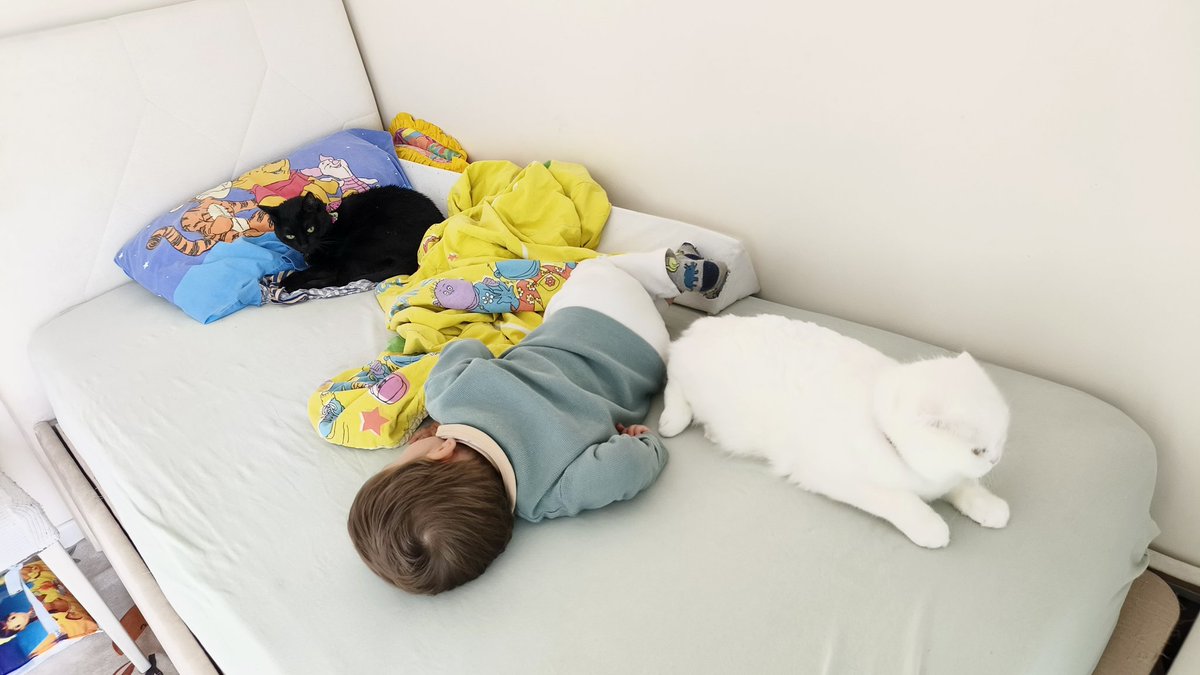 cucucu Gece & Gündüz tweet media