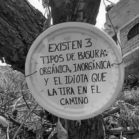 Más Ciencia tweet media