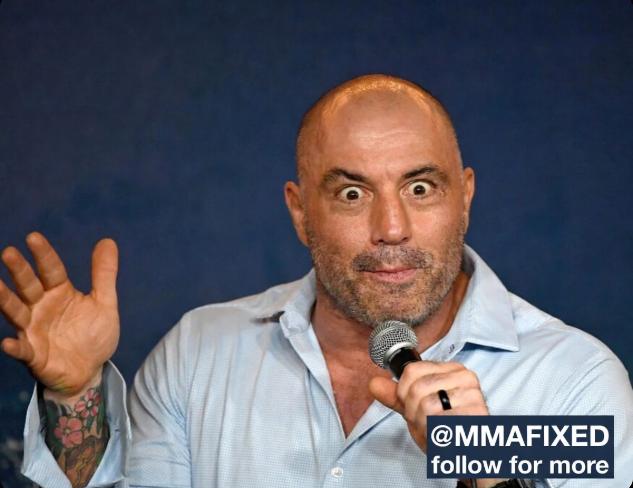 MMA FIXED tweet media